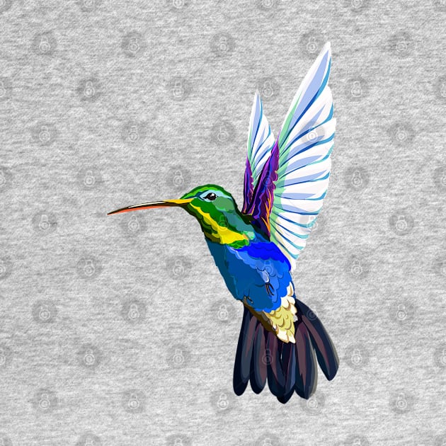 Colorful Colibri by Happy Art Designs